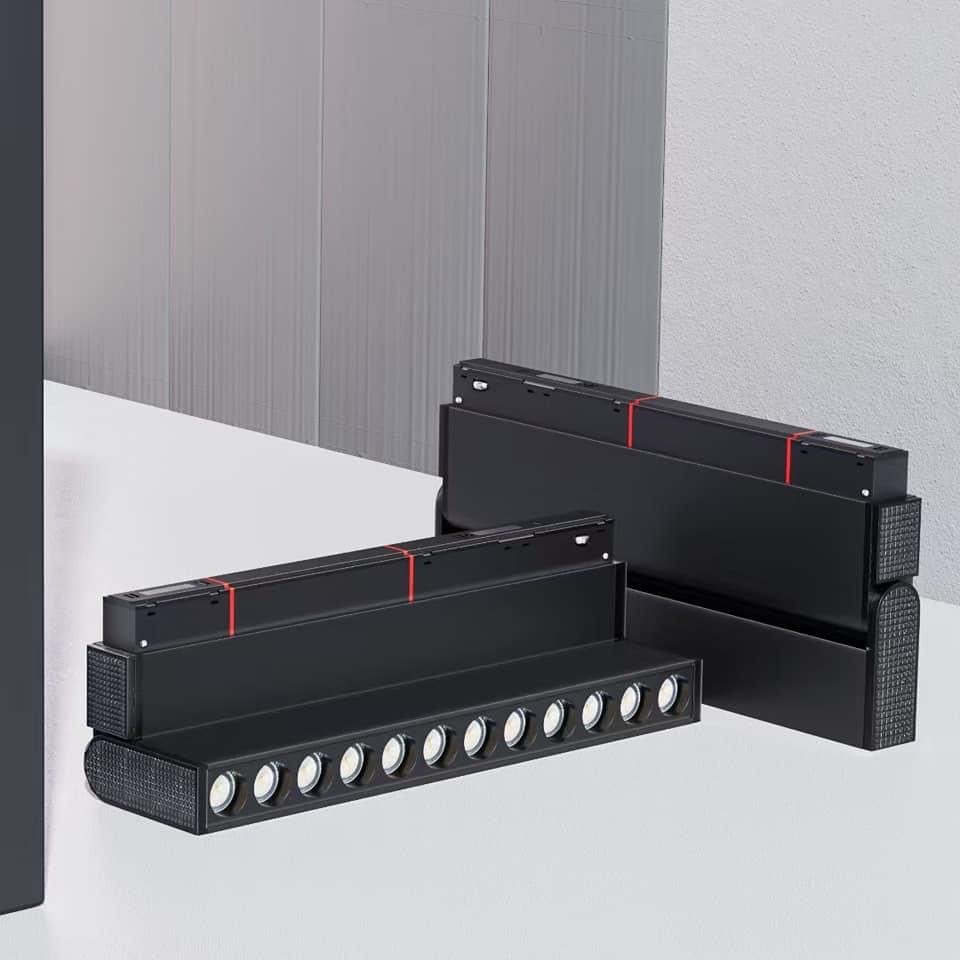 Magnetic light